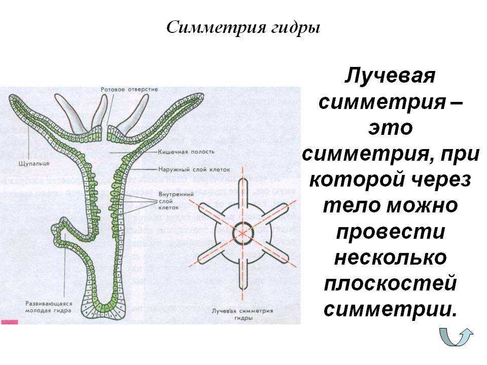 Нарко маркетплейс