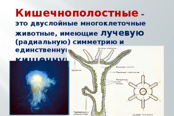 Kraken официальное зеркало kraken dark link