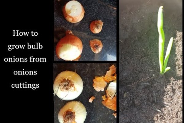 Кракен маркетплейс откуда взялся